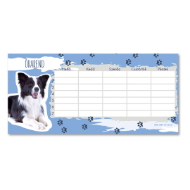 Ars Una cuki állatok órarend - Border Collie