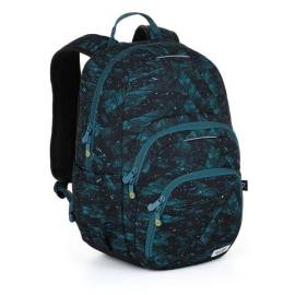 TOPGAL ergonomikus iskolatáska hátizsák SKYE - Blue Paint